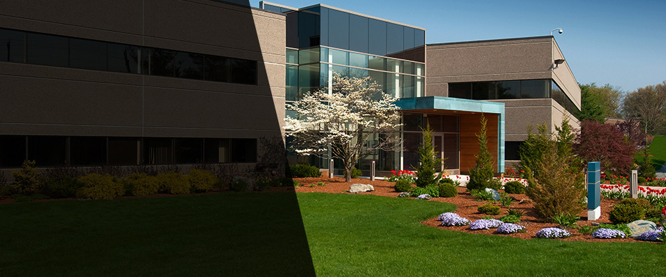 Beech Island Landscapers