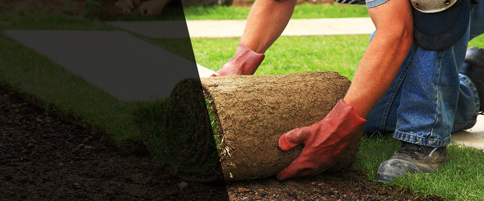 Beech Island Landscapers